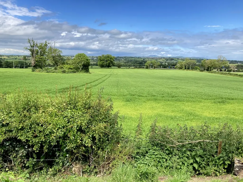 Moira Demesne, Moira