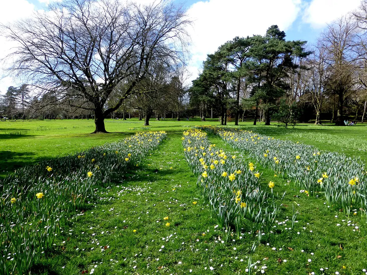Wallace Park, Lisburn