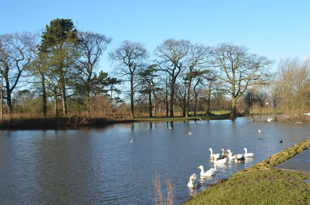 Captain Cook Birthplace Museum and Stewart Park, Marton