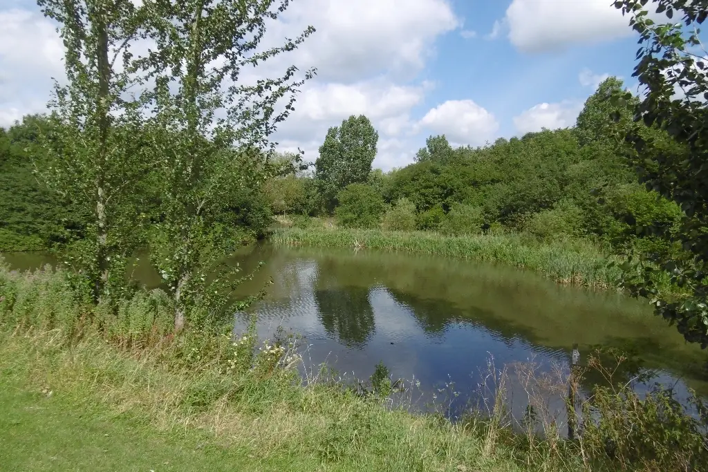Hemlington Lake, Hemlington