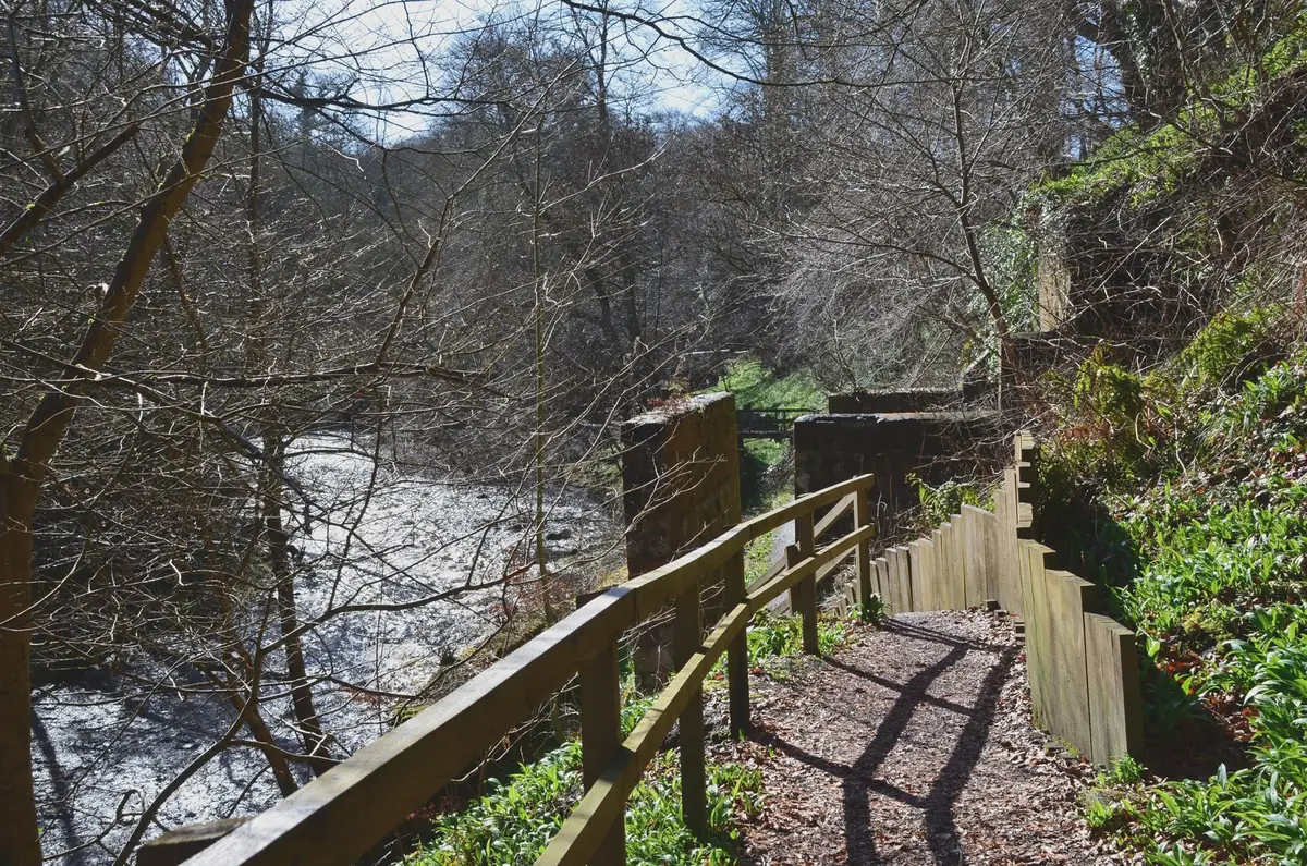 Roslin Glen Country Park, Roslin