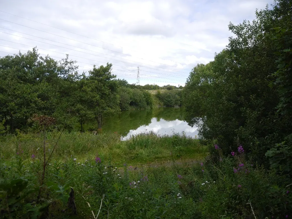 Straiton Pond Local Nature Reserve, Loanhead