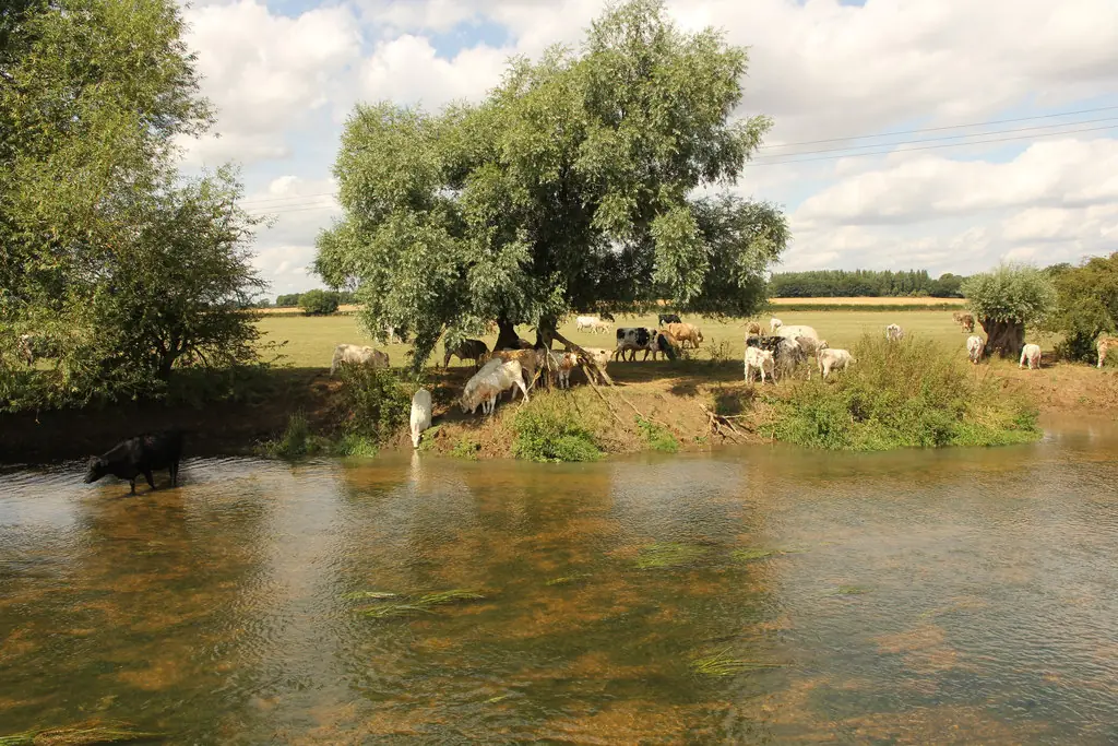 Ouse Valley Park, Wolverton
