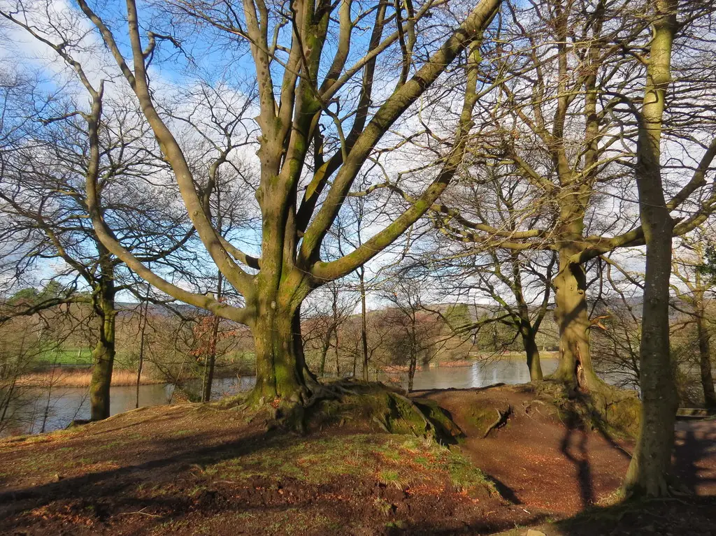Gnoll Estate Country Park, Neath