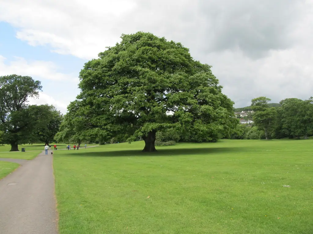 Kilbroney Park, Rostrevor