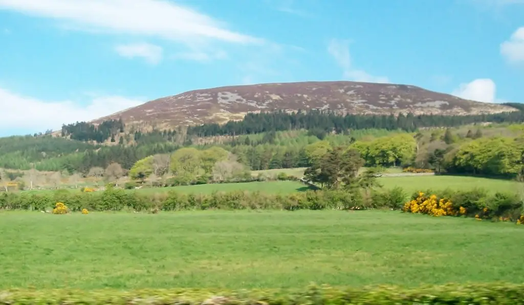 Slieve Gullion Forest Park, Meigh