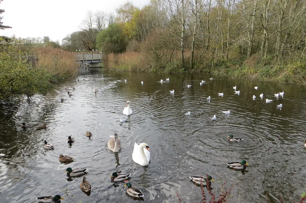 Sixmile Park, Ballyclare