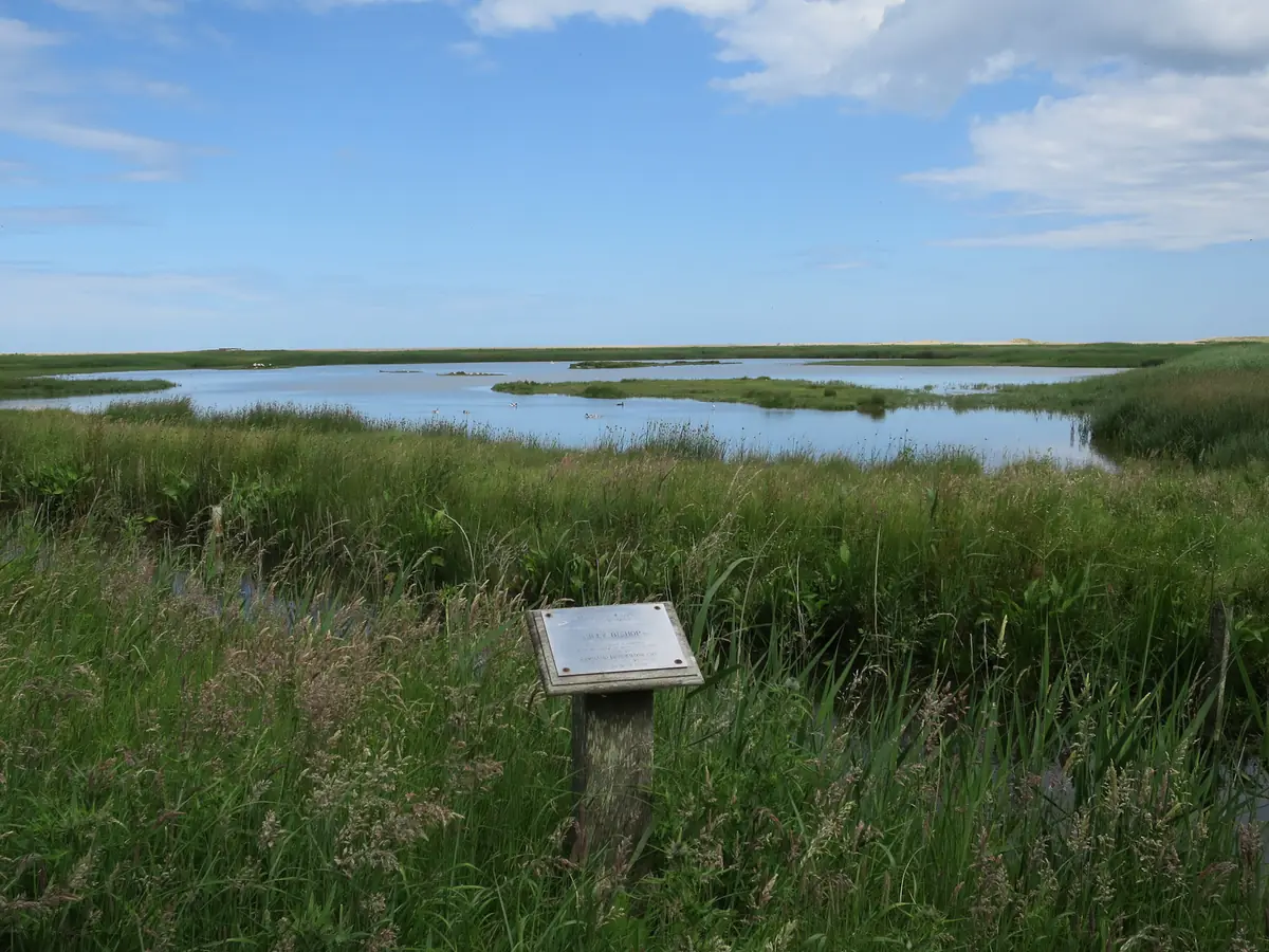 Cley Marshes, Holt
