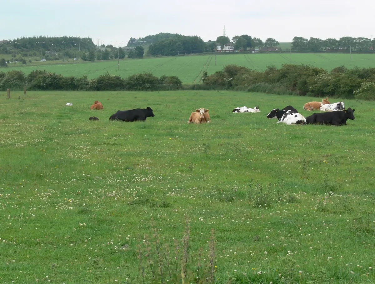 Far Ings National Nature Reserve, Barton upon Humber