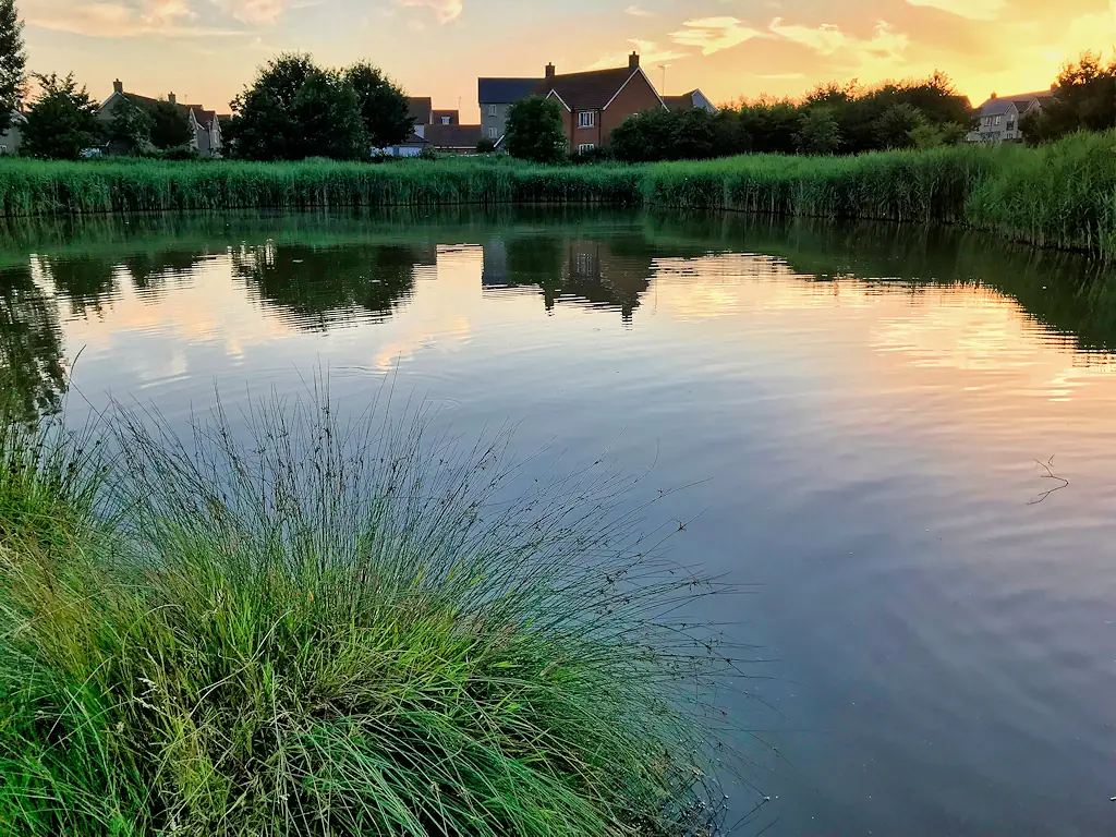 Portbury Wharf Nature Reserve, Portishead