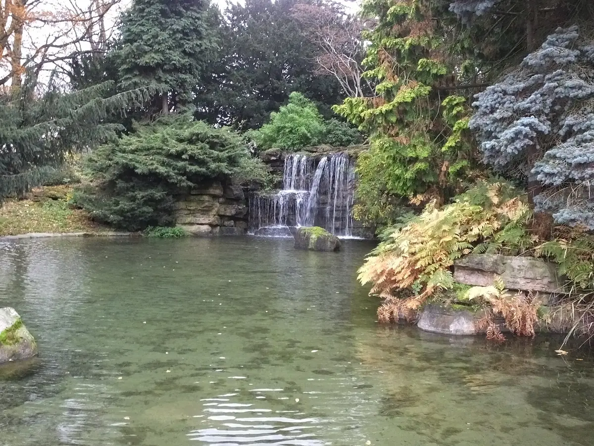 Highfields Park, Highfields