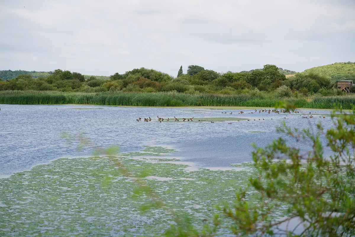 Attenborough Nature Reserve, Beeston