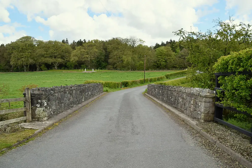 Ecclesville Forest, Fintona