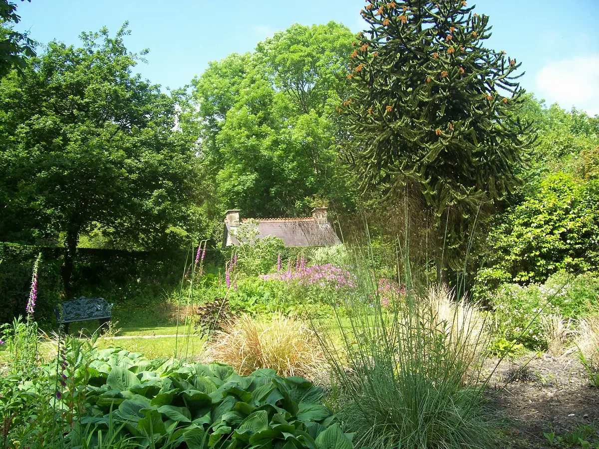 Colby Woodland Garden, Narberth