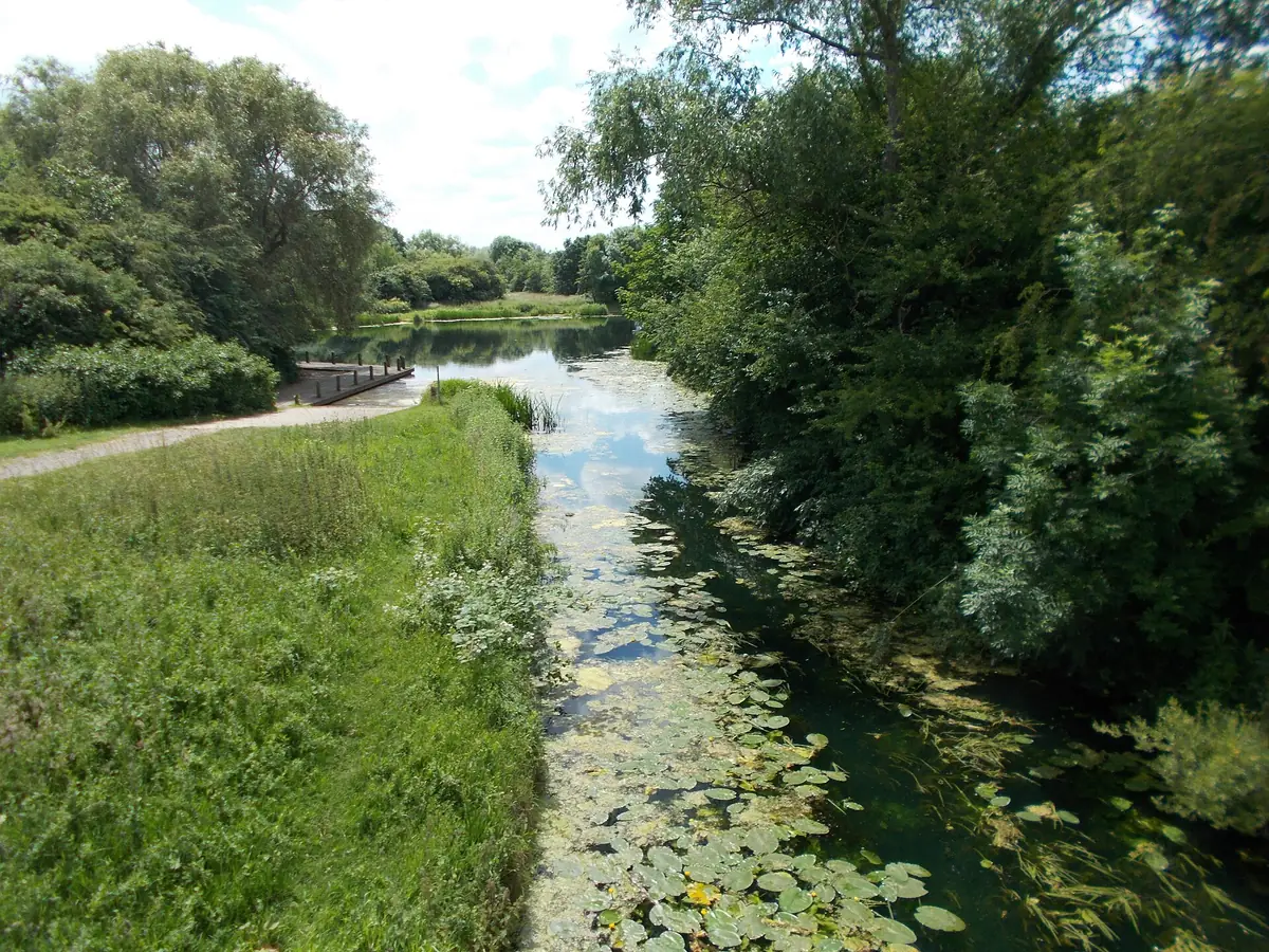 Thorpe Meadows, Peterborough