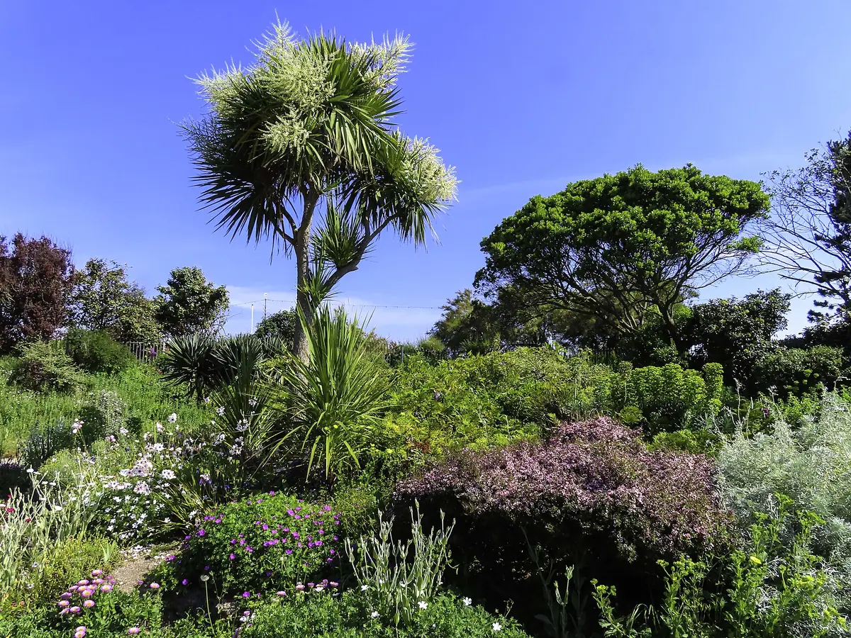 Southsea Rock Garden, Southsea