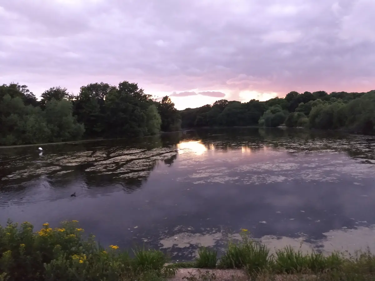 Wanstead Park, Wanstead