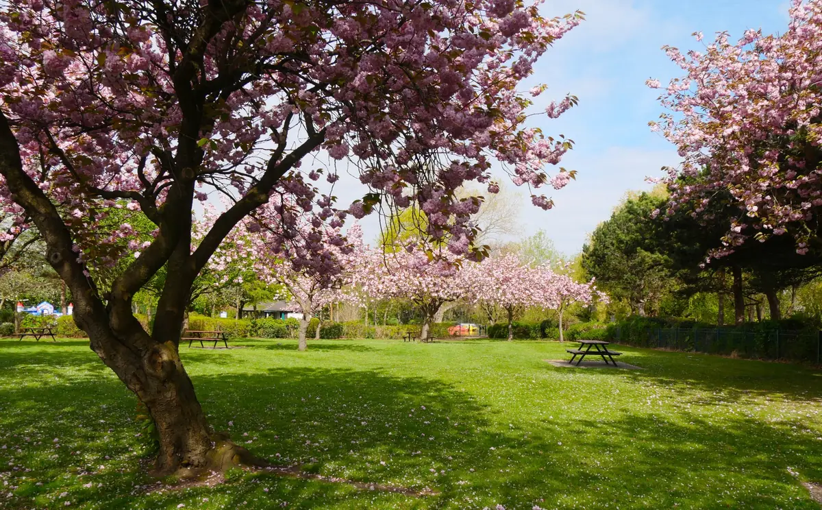 Locke Park, Redcar