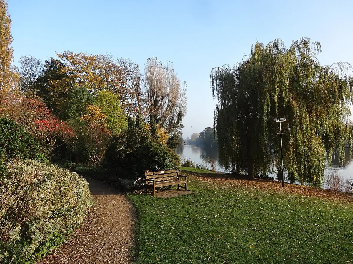 Bushy Park, Hampton