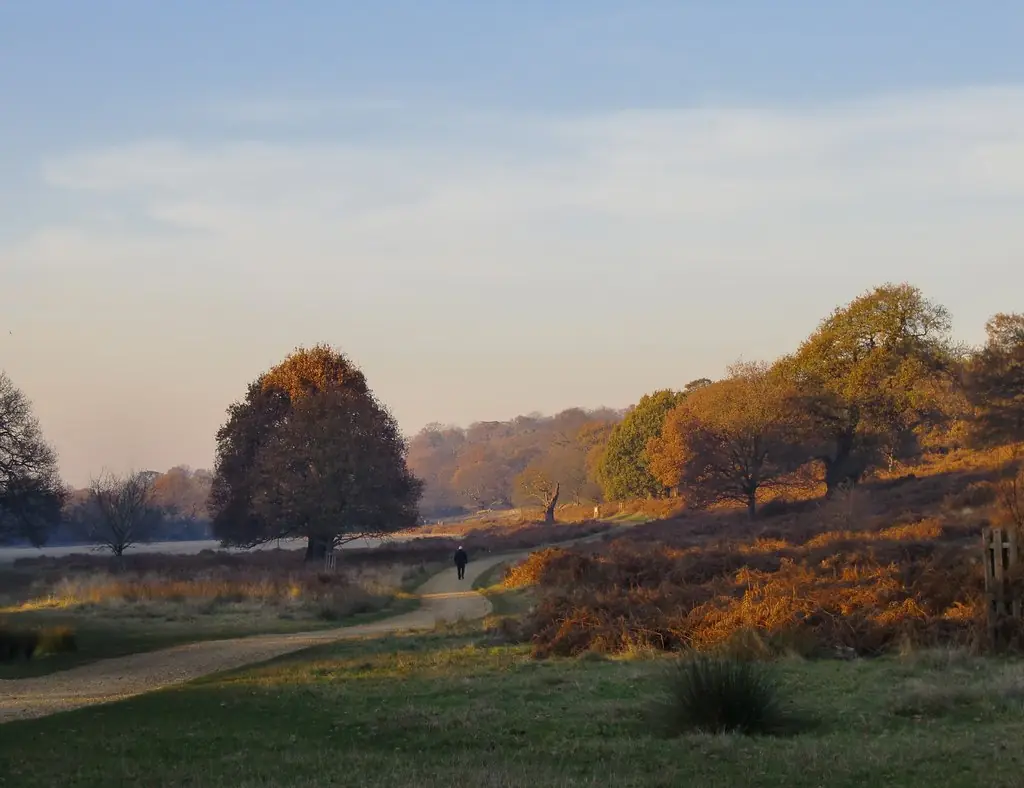 Richmond Park and Isabella Plantation, Richmond