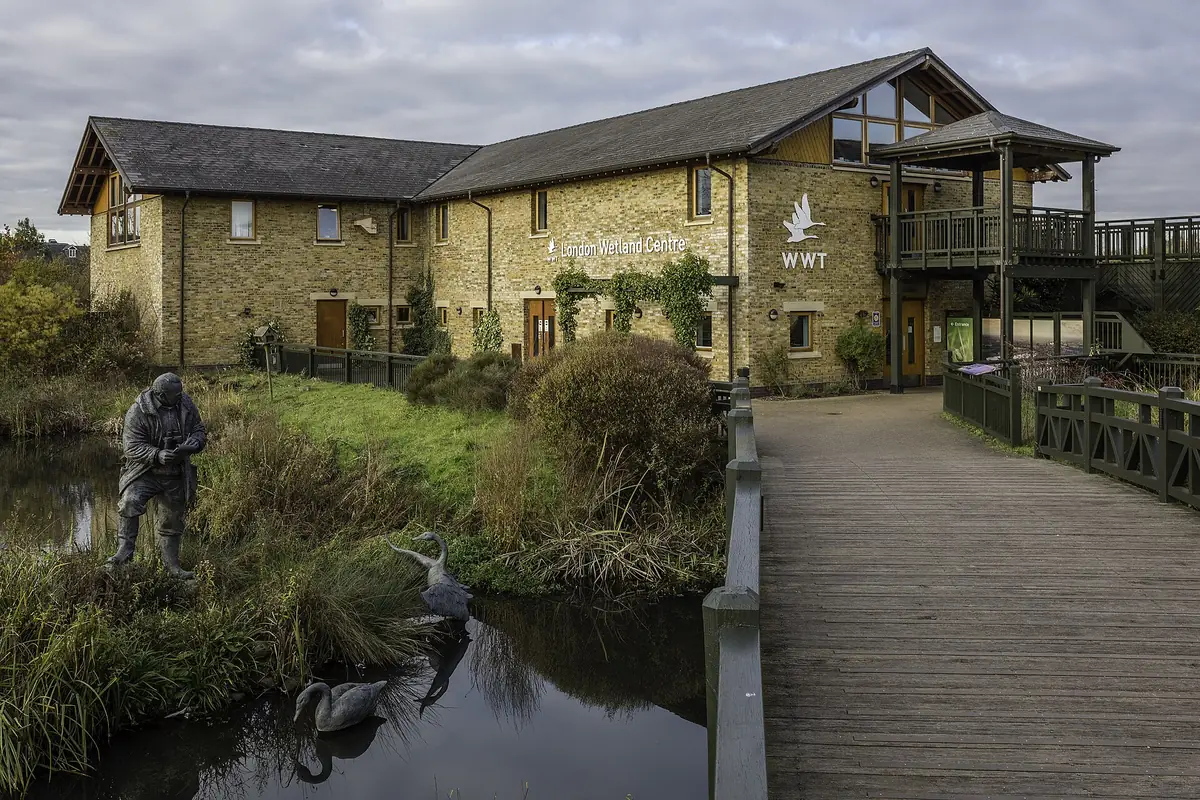 WWT London Wetland Centre, Barnes
