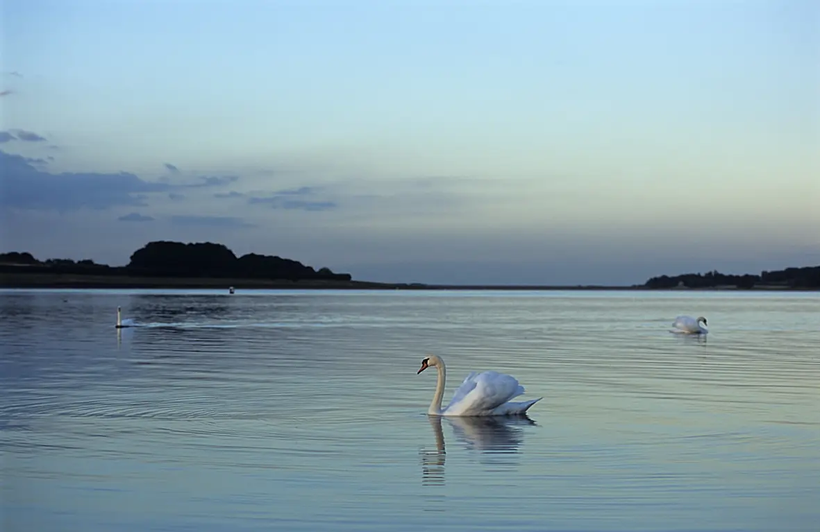 Rutland Water Park, Sykes Lane, Empingham