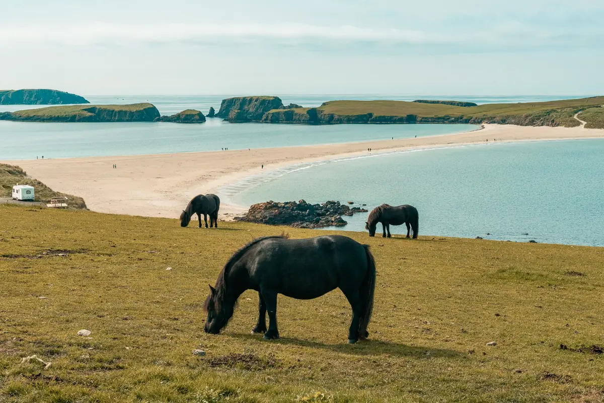 St Ninian's Isle, Bigton