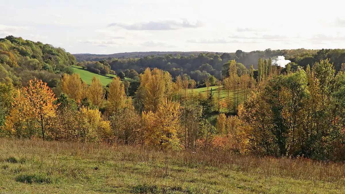 Severn Valley Country Park, Alveley