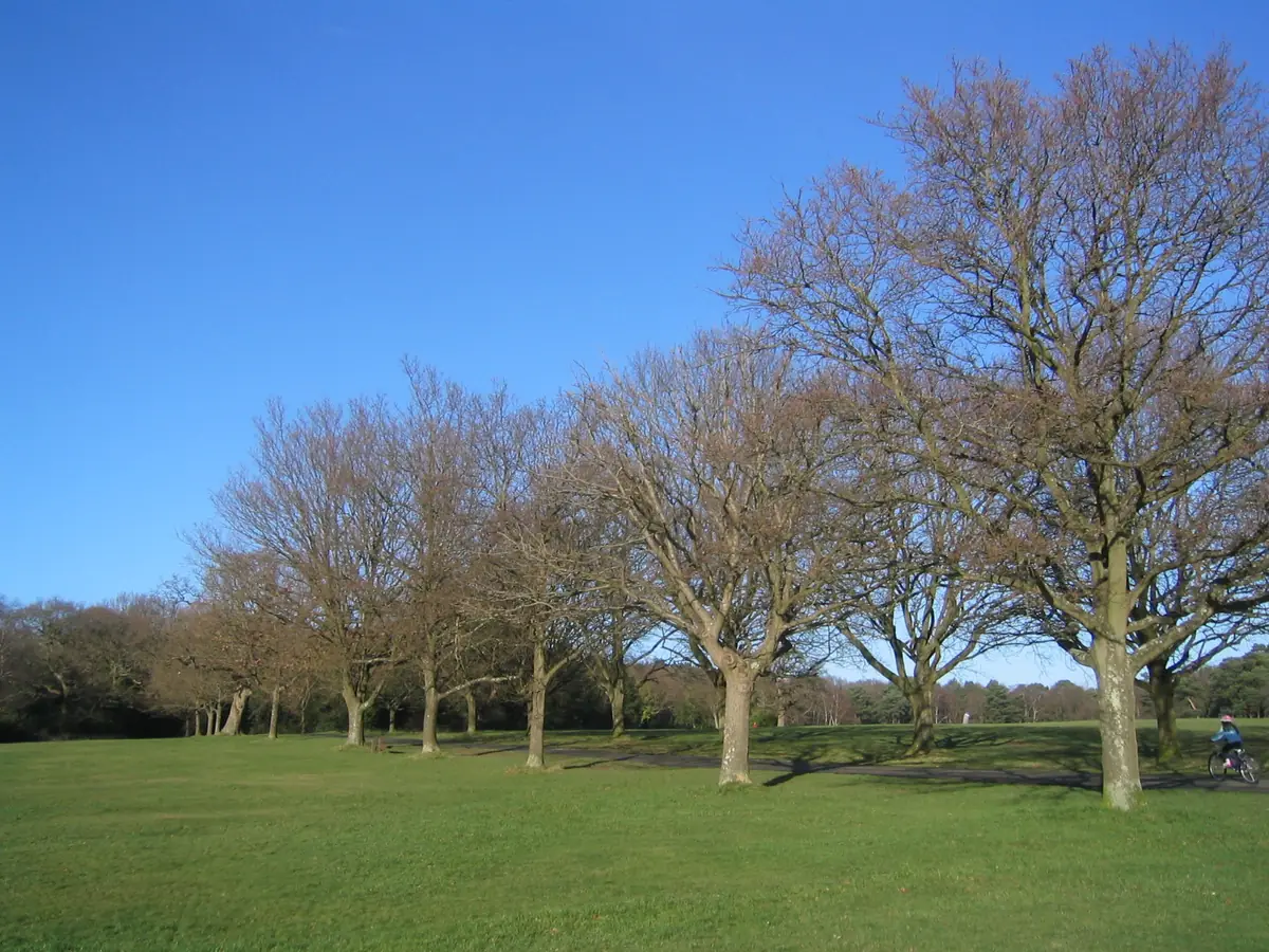 Southampton Common, Portswood