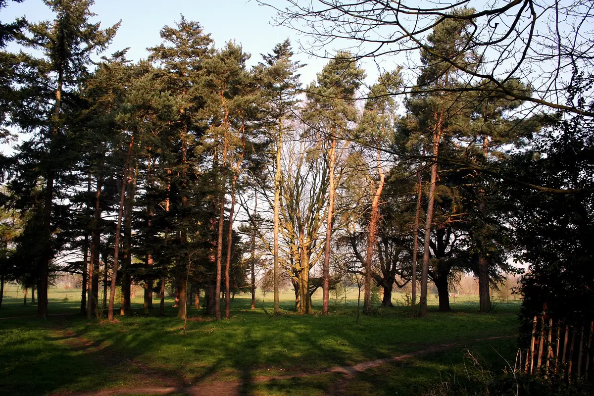 Nonsuch Park, Cheam