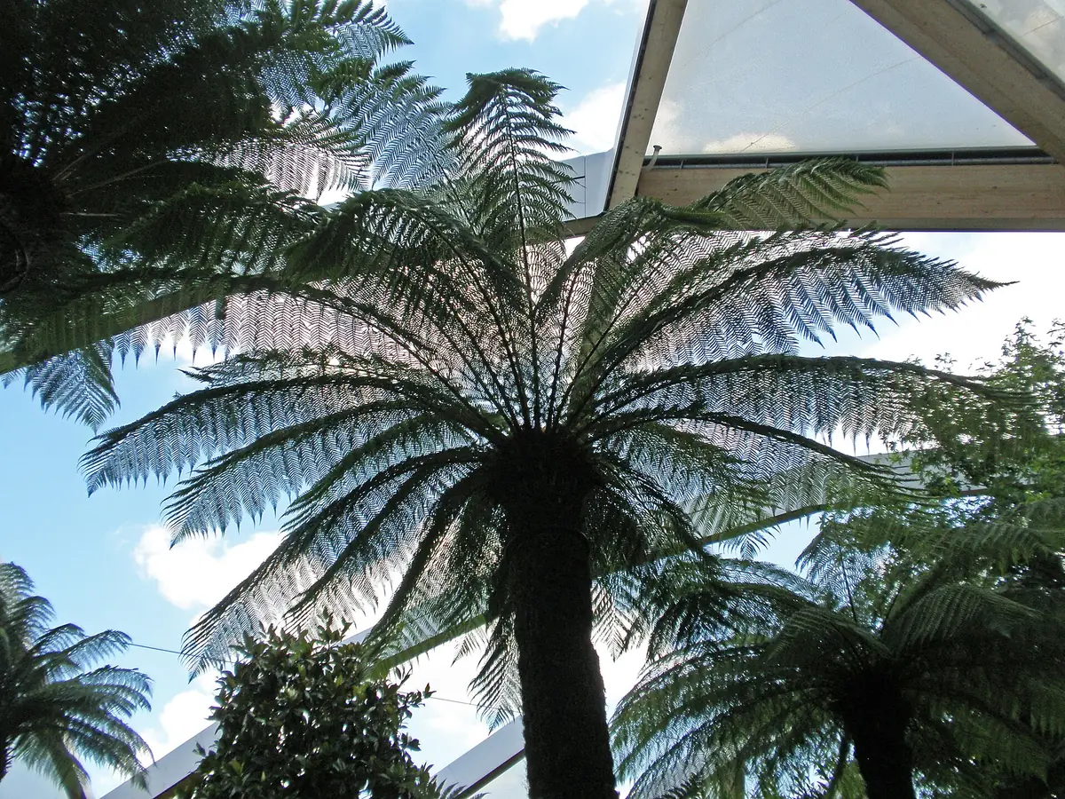 Crossrail Place Roof Garden, Canary Wharf