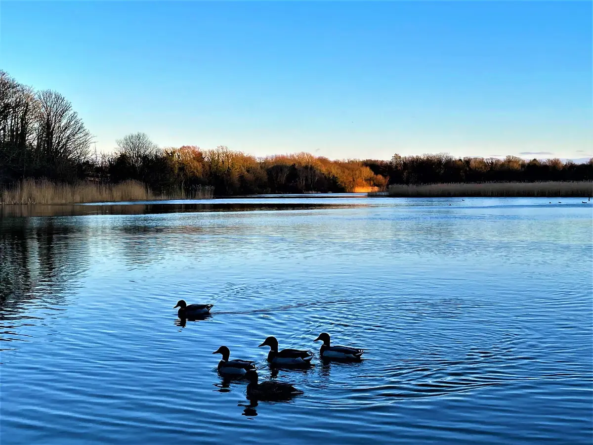 Cosmeston Lakes Country Park, Penarth