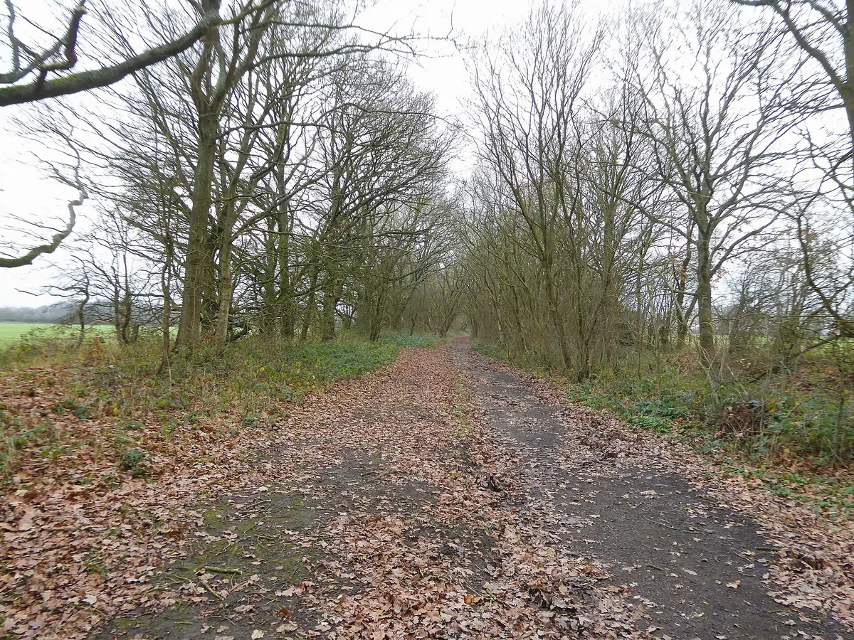 Culcheth Linear Park, Culcheth