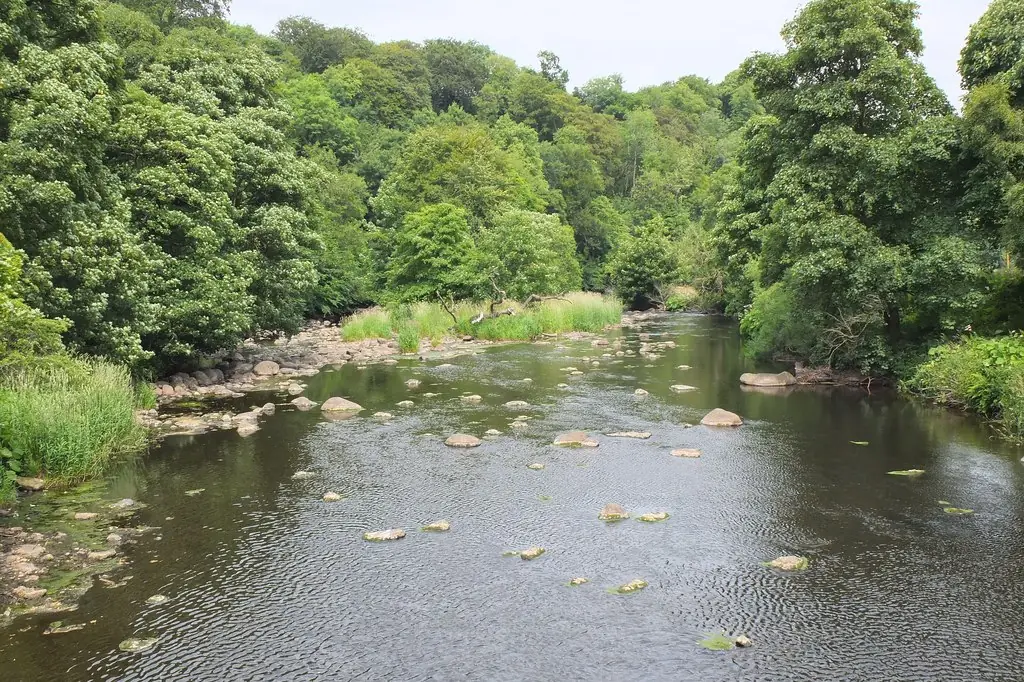 Almondell and Calderwood Country Park, East Calder