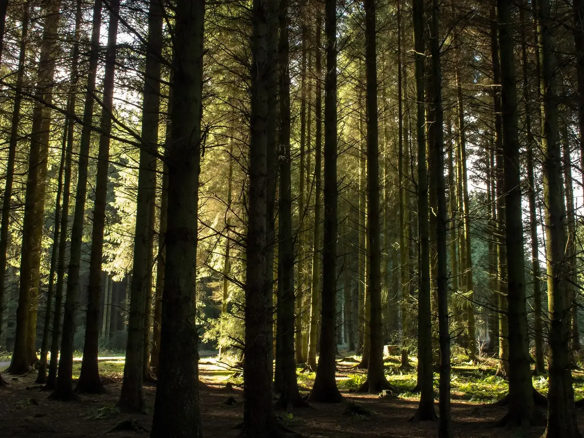 Beecraigs Country Park, Linlithgow