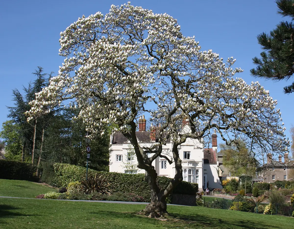 Priory Park, Great Malvern