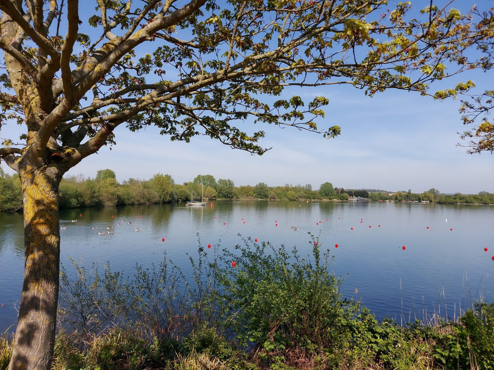 Barkingside