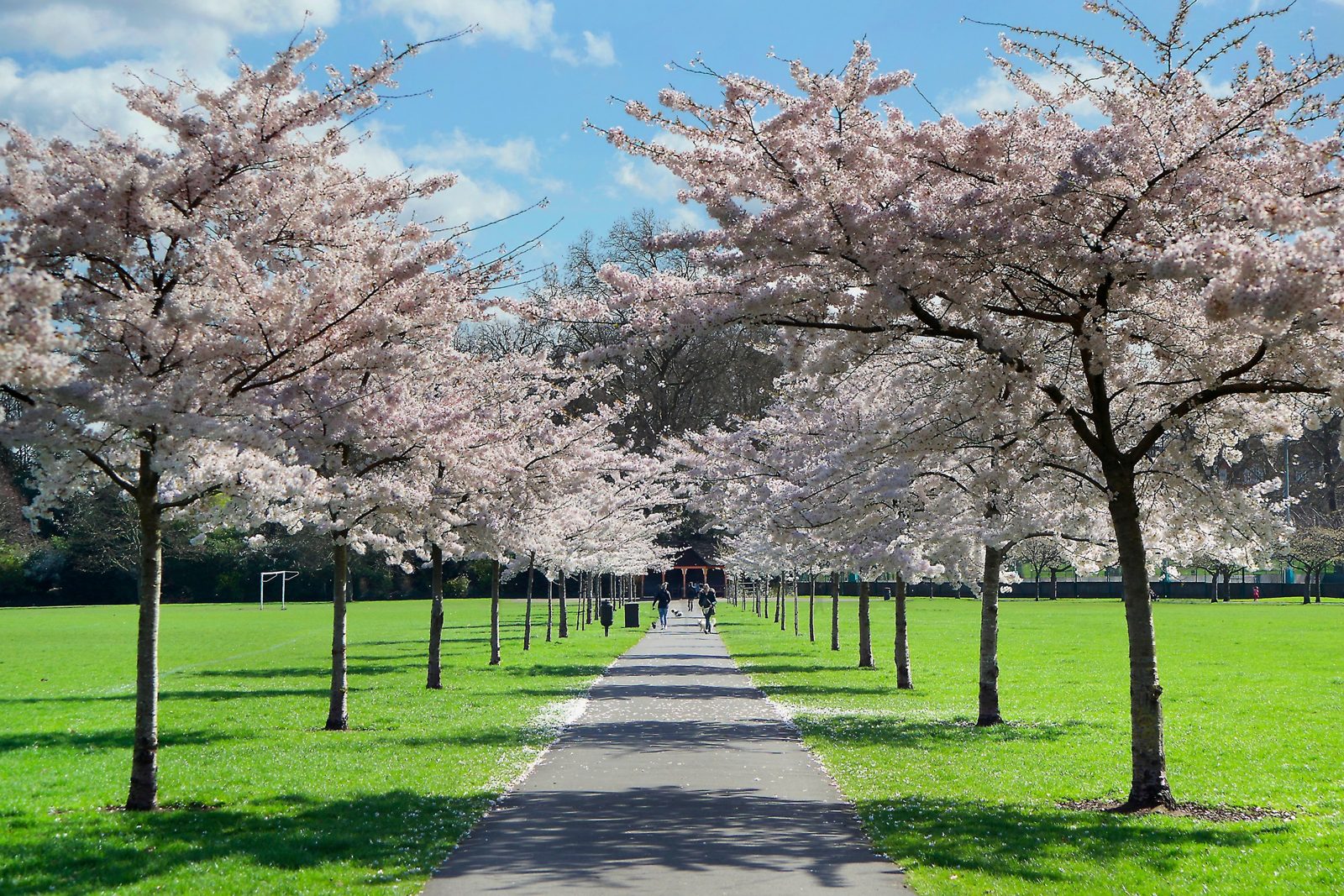 Battersea Park, Sands End
