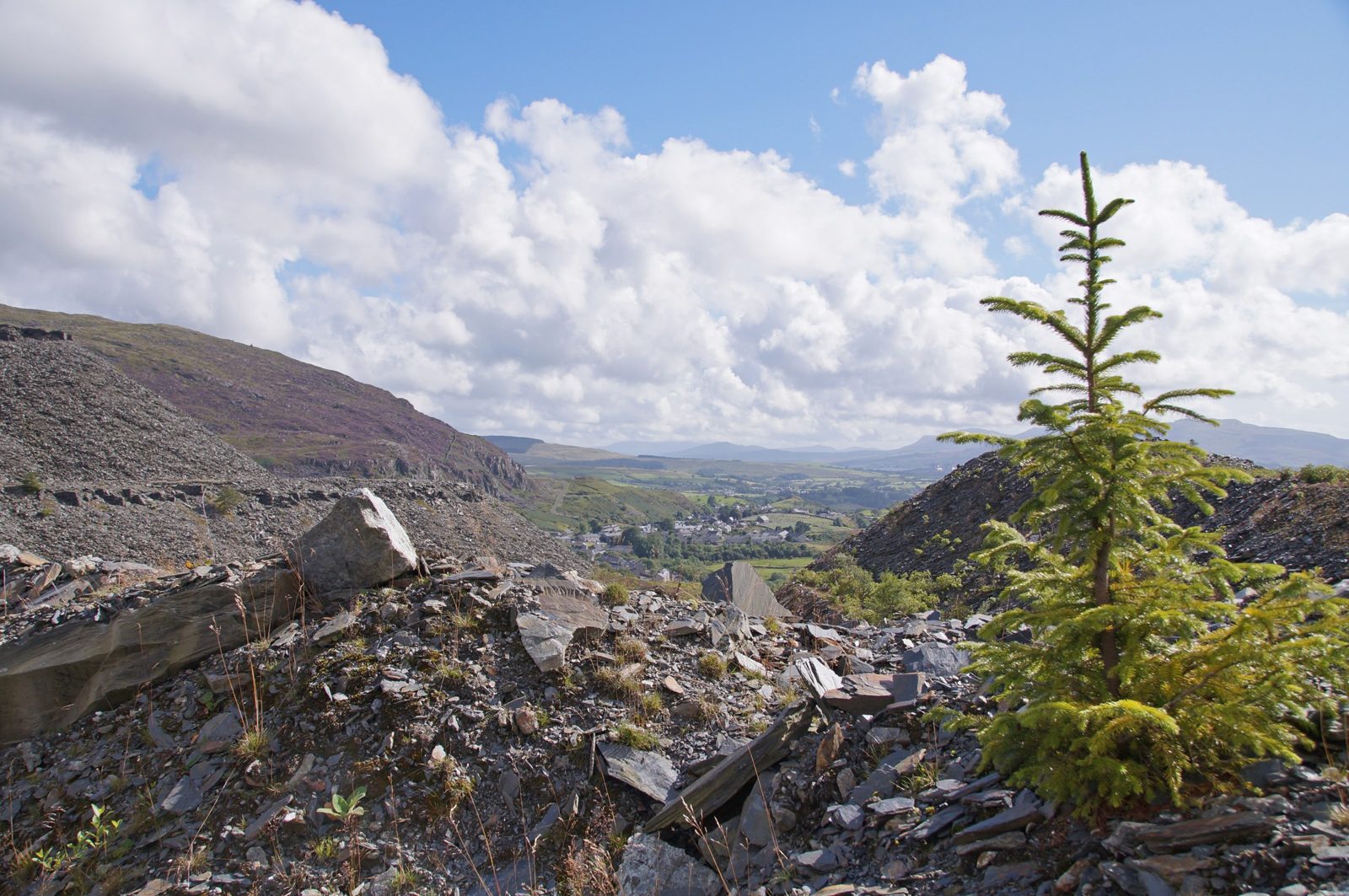 Blaenau Ffestiniog, Betws y Coed