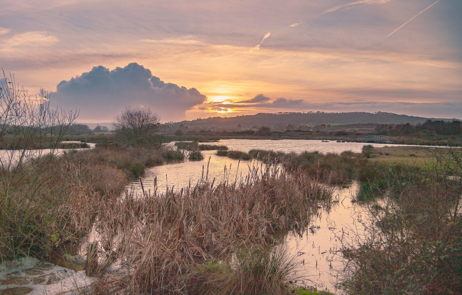 Brading, Sandown