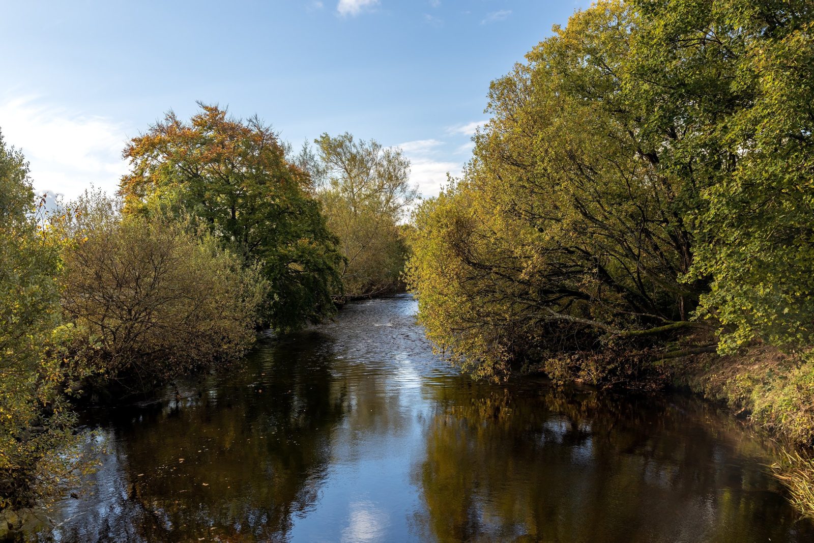 Bridge of Allan