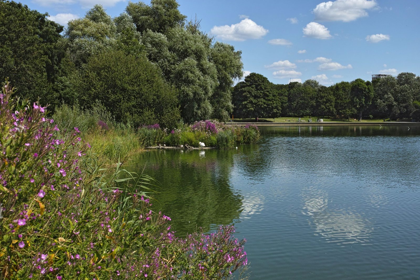 Burgess Park, Bermondsey