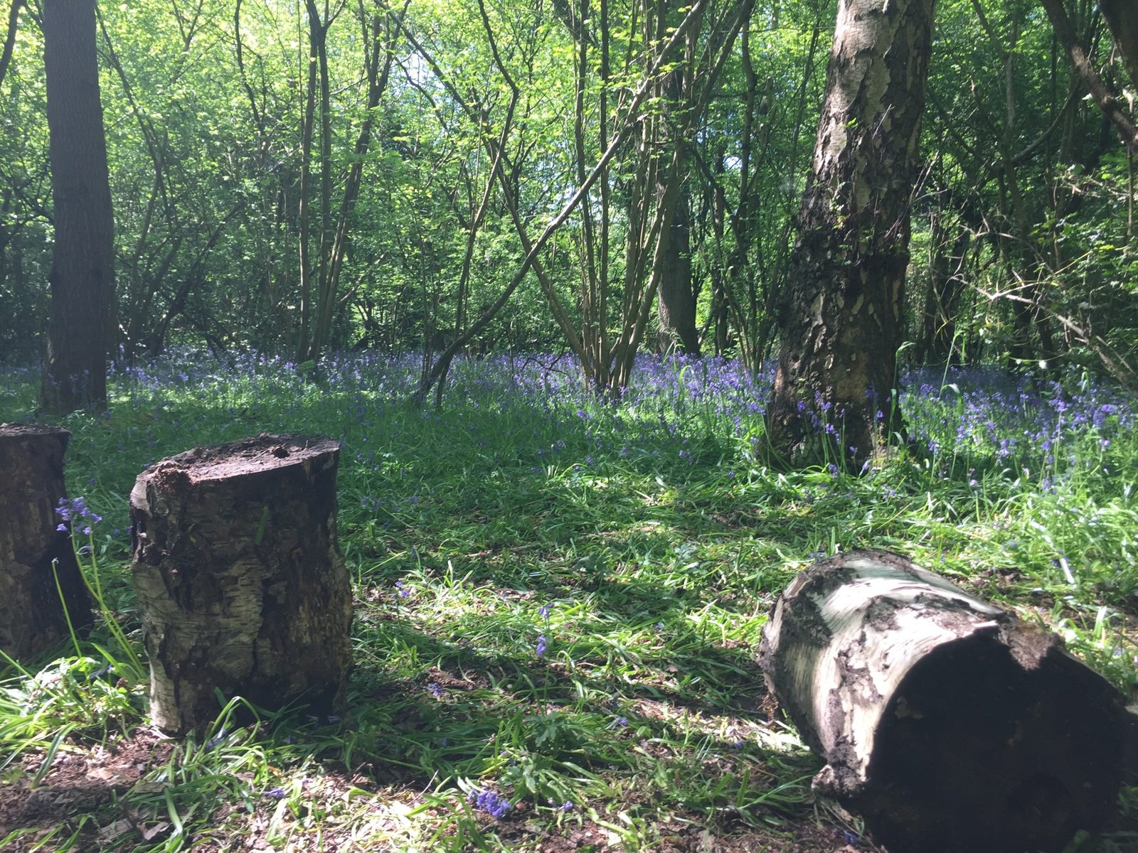Chessington, Kingston upon Thames
