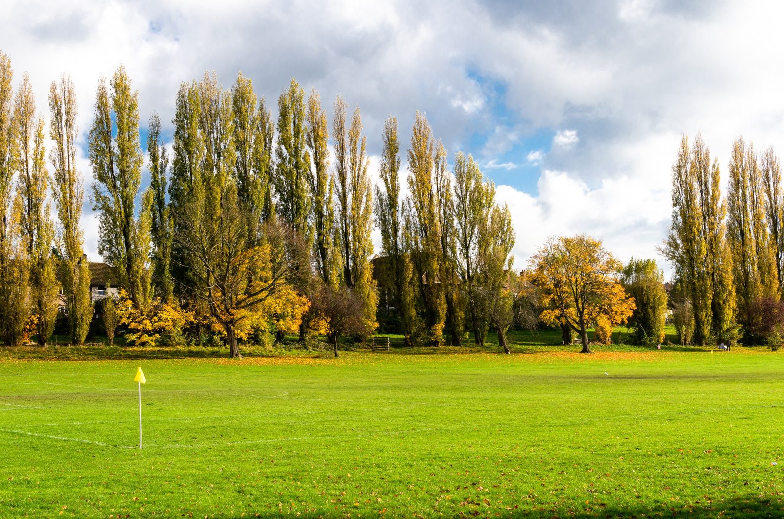 Chinbrook, Mottingham