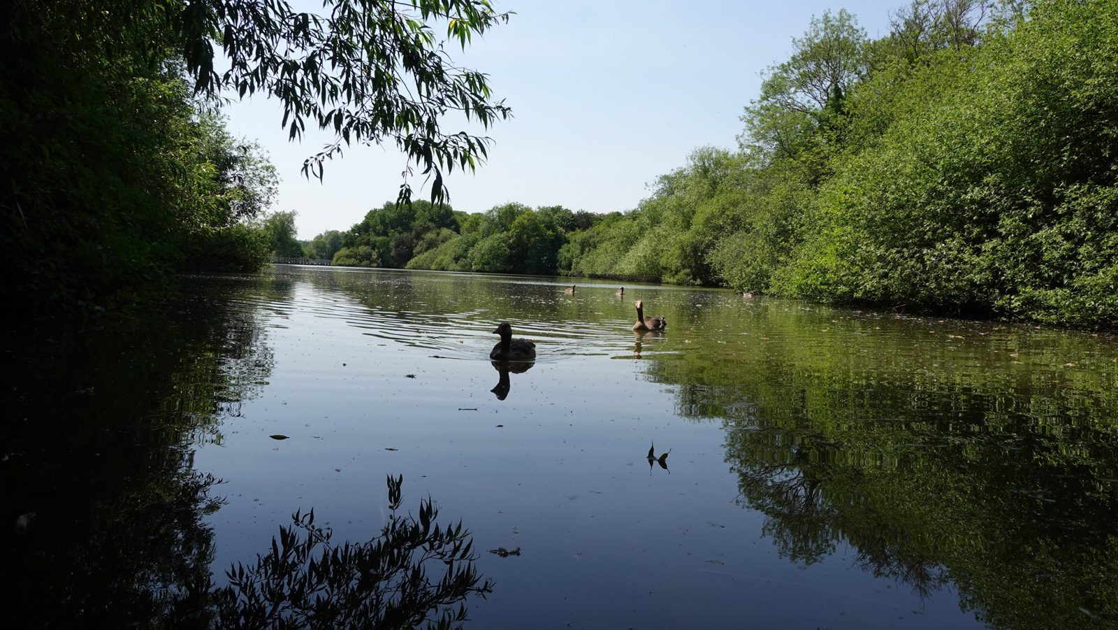 Crawley, West Sussex
