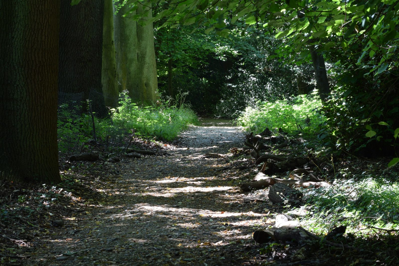 Downe, Biggin Hill