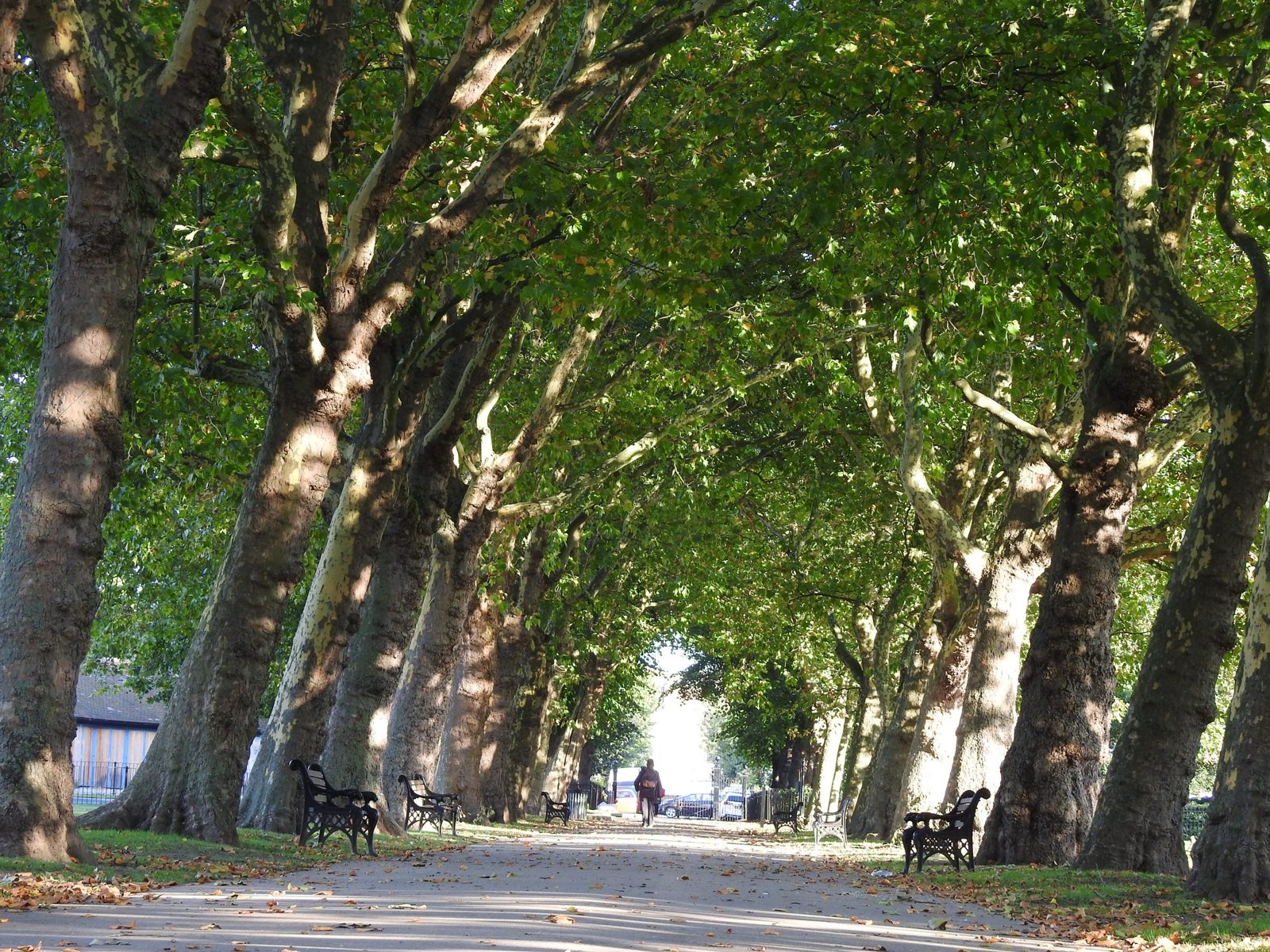 East Ham, Little Ilford