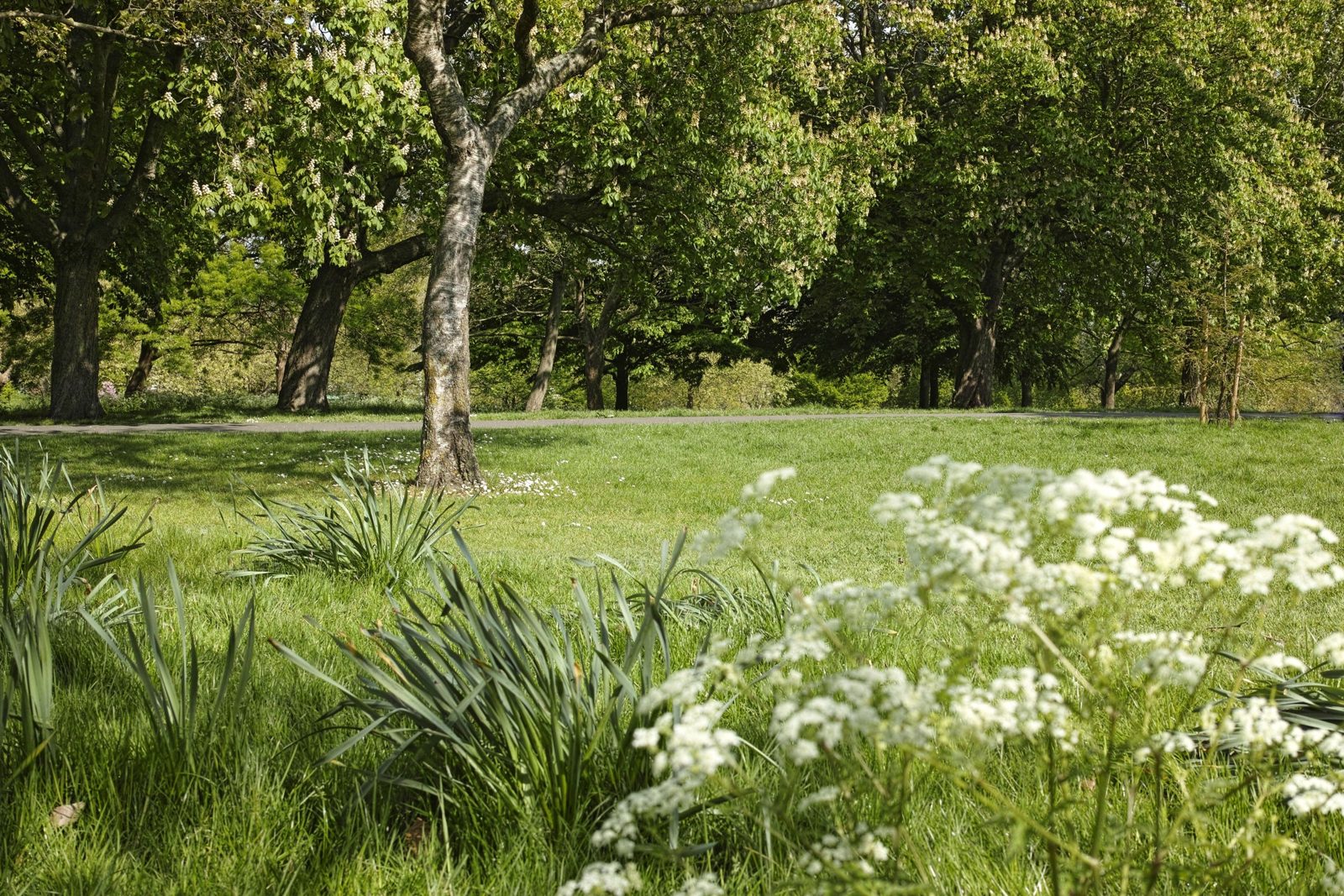 Finsbury Park, Stoke Newington