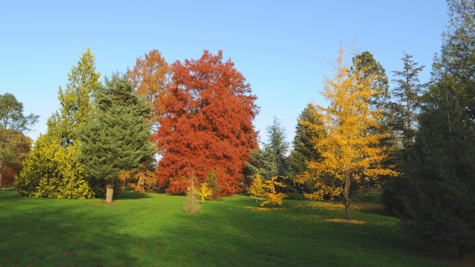 Hadley Wood, Potters Bar