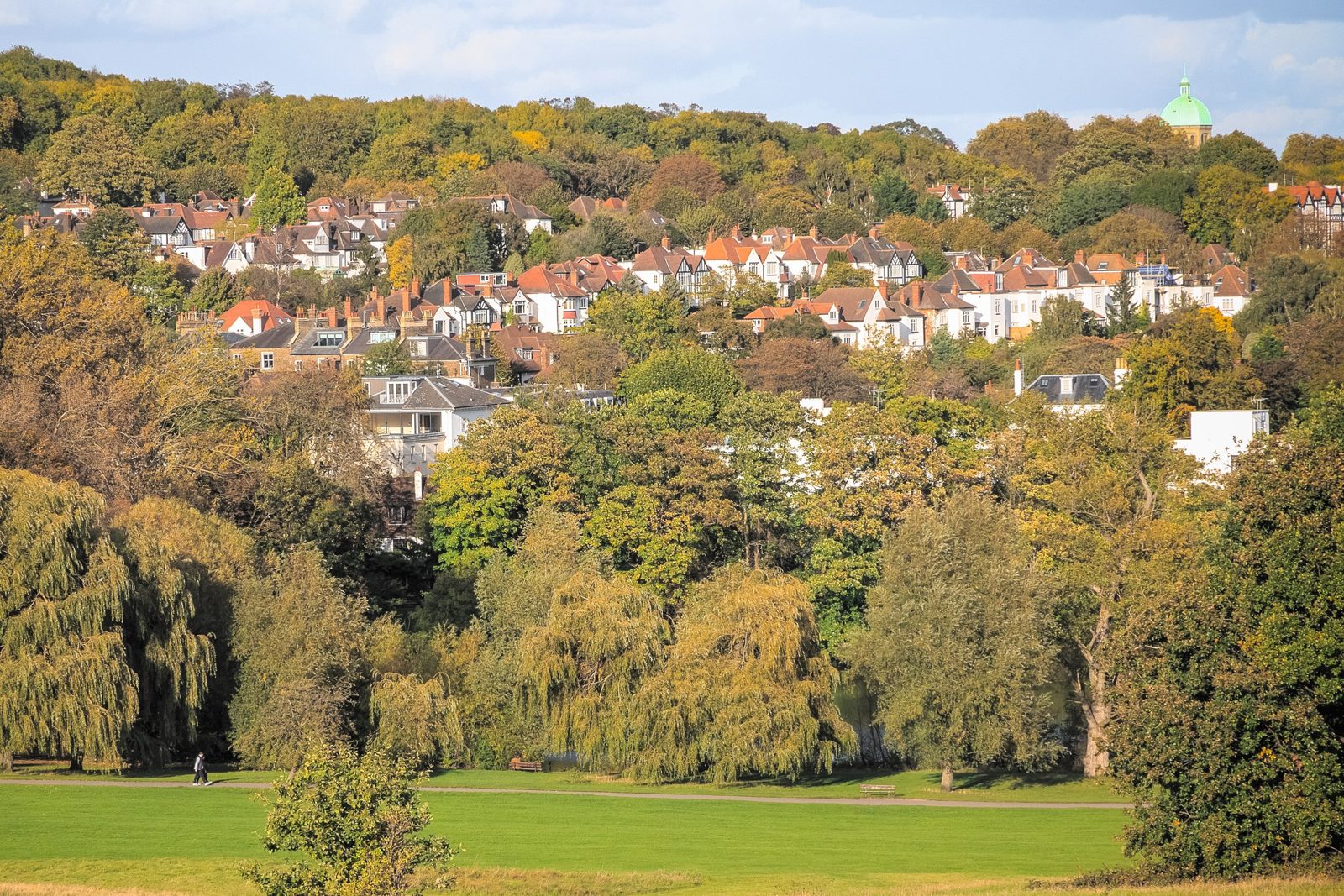 Hampstead Garden Suburb, Fortis Green